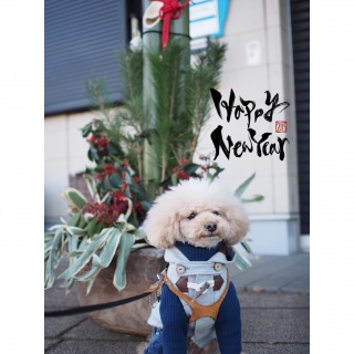 �͂��߂܂���