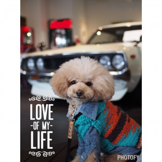 �J�t�F�K���[�W��