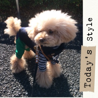 �D������♡