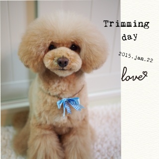 �g���~���O��