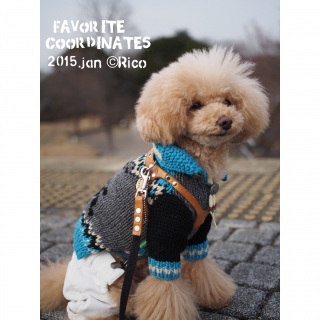 �v���[���g♡