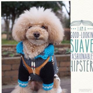 ���ʂ����