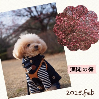 �t�旈����