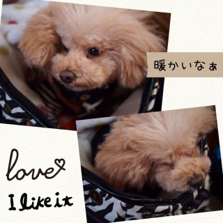 �T���K���[�^