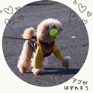 �Q�b�`���`�I