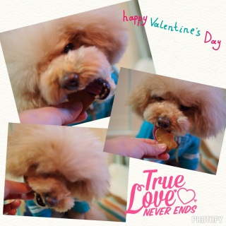 �o�����^�C����