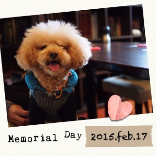 ���肪�Ƃ��̓���