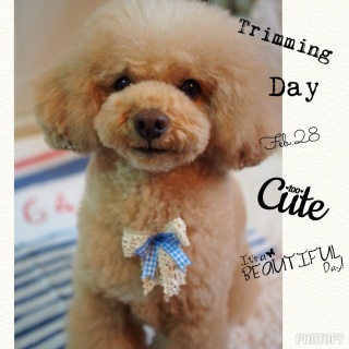 �g���~���O�`♡