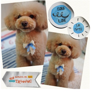 ������[��