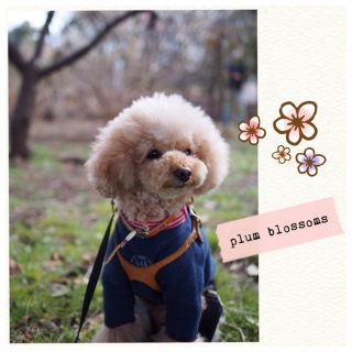 �䂢����♡