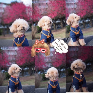 ���������c�i�G�P�F�P�j