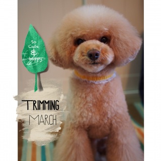 �g���~���O�`��ł��킢��������