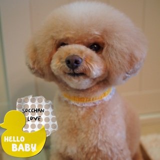 �g���~���O�Q