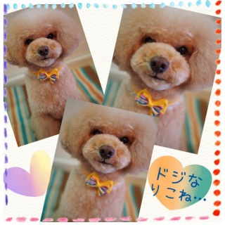 �������́c