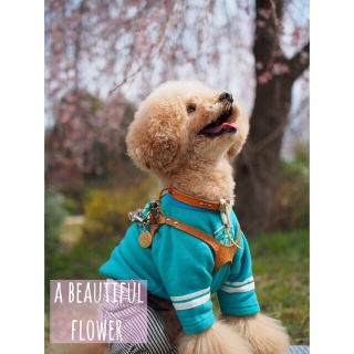 ����񂩂킦�`♡