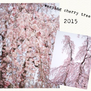 �}�������