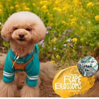 �����낢�\��(o_o)