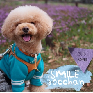 �X�}�C���[♡