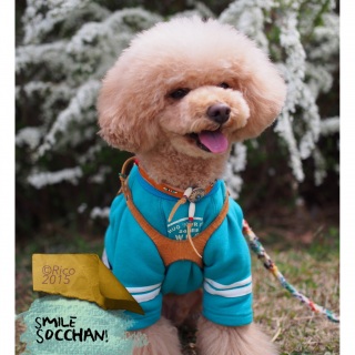 �X�}�C���`♡