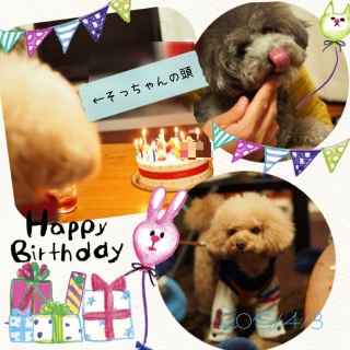 �ꌅ�Ō�̃o�[�X�f�[��