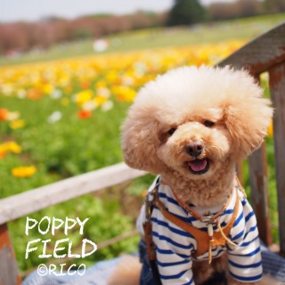 �|�s�[����A