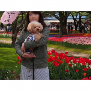 ���Ă�e�q♬