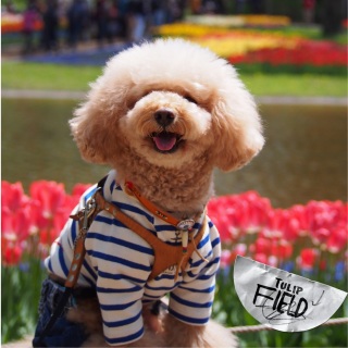 �`���[���b�v�E