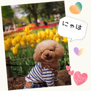 �`���[���b�v�F