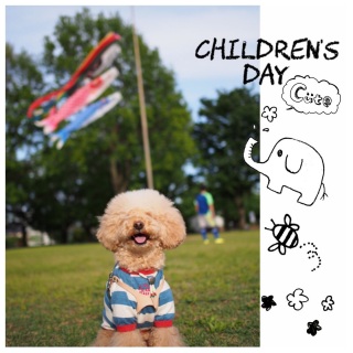 ���₩�Ɂ�