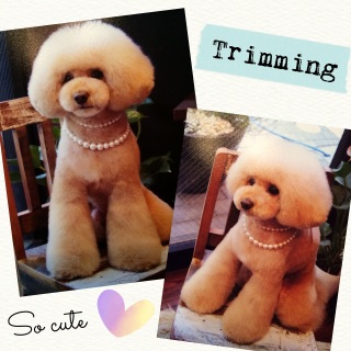 ���߂Ă̂��X�Ńg���~���O��