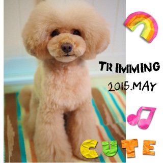 ����1���\��t���`♡