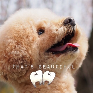 �w�͂̎�����