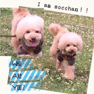 ���Ȃ��N⁈