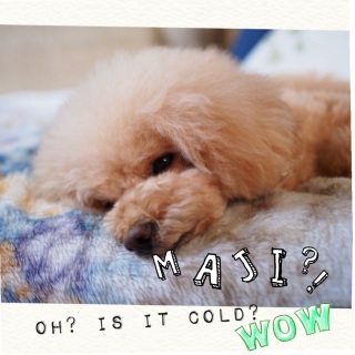 ���[�[�[�i�G�P�F�P�j