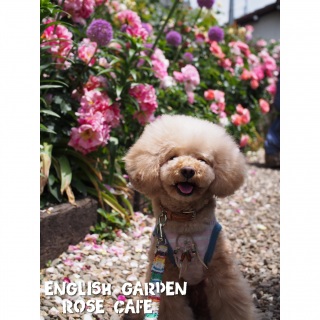 �j�b�J�j�J♫