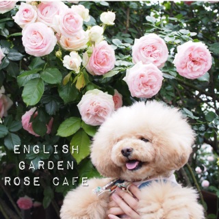 �s���N���������j♫