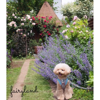 ���Ƃ��̍�♡