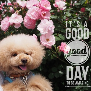 �l�Ԃ���ˁH�I