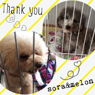 2�l�͂������