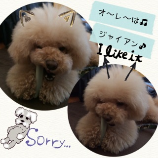 �W���C�A�����c