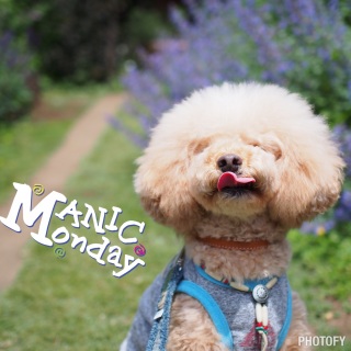 �u���[�Ȍ��j���c