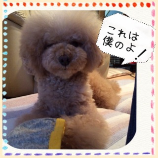 ����������q���������c