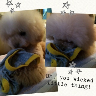 ����������q���������c