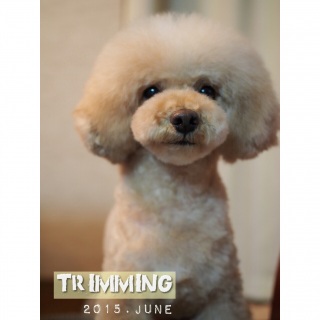 �g���~���O��@