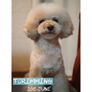 �g���~���O��A