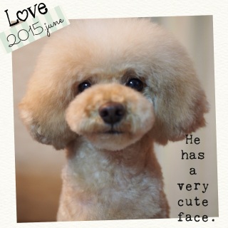 �������g���~���O�B��