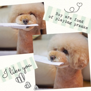 ���܂ł��I