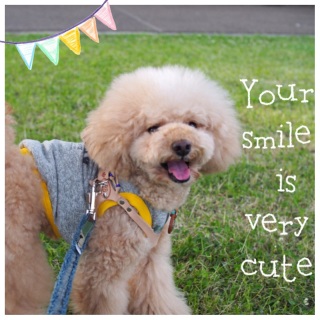 ��������♡