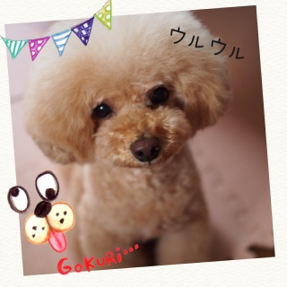 ��b���͂��ށ�@