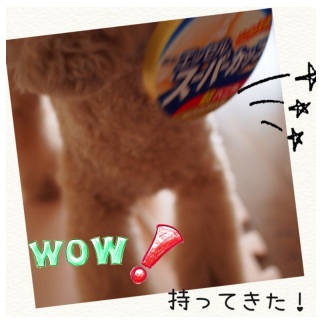 ��b���͂��ށ�A